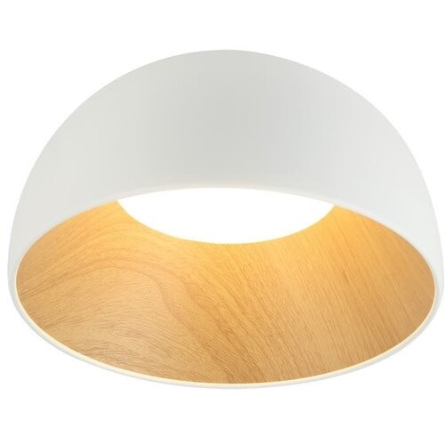  Led plafonjera FK2001-24P wh Cene