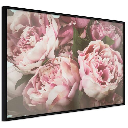  Poster - Pastel Peonies 60x40 Slike