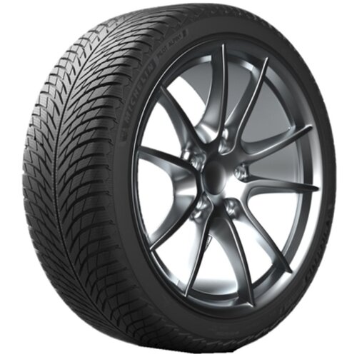 Michelin 245/35R21 96W PILOT ALPIN 5 XL TL zimska ( 014546 ) Cene