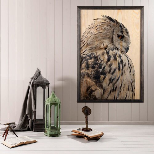 Wallity slika owl, 35 x 50 cm Slike
