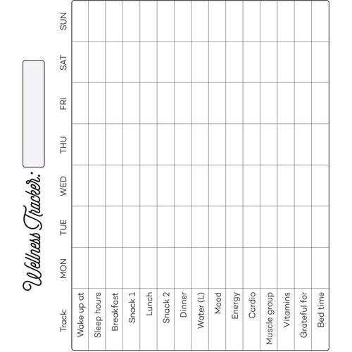 Hooh Insert Wellness tracker, 10 listova Cene