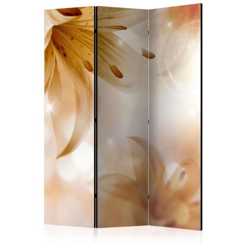  Paravan u 3 dijela - Queens of Summer [Room Dividers] 135x172 Slike