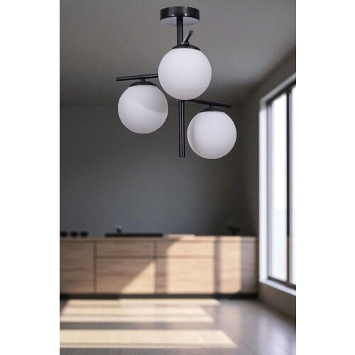 Opviq luster 2596542, crni Cene