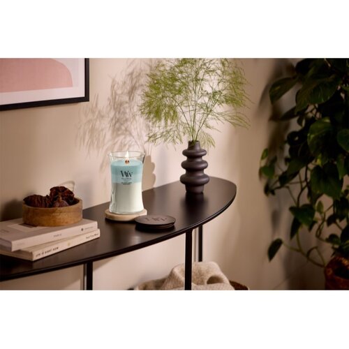 WoodWick Trilogy Driftwood Shores di&amp;scaron;eča sveča z lesenim stenjem 610 g Slike