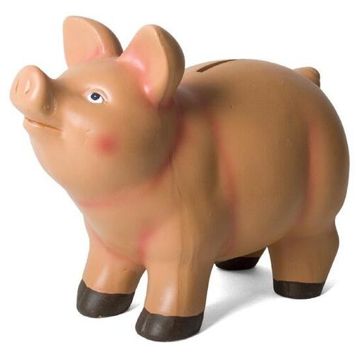  KASICA PIG Cijene