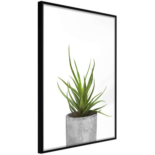  Poster - Piece of Nature I 20x30 Cijene