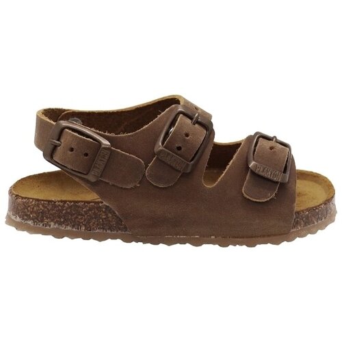 Plakton Sandali & Odprti čevlji Petrol baby Sandals - Beige Kostanjeva Cene