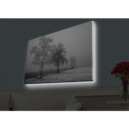 Wallity Slika sa LED osvetljenjem 4570HDACT-031, 45x70 cm Cene