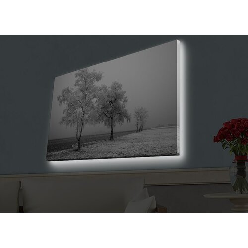 Wallity Zidna slika sa LED osvetljenjem 4570HDACT-031, 45x70 cm Cijene