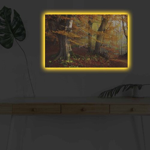 Wallity Zidna slika sa LED osvetljenjem 4570DHDACT-151, 45x70 cm Cijene