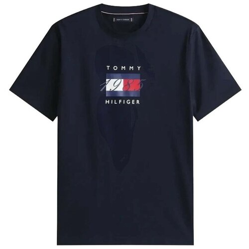 Tommy Hilfiger Majice s kratkimi rokavi LINEAR FLAG GRAPHIC TEE Modra Slike