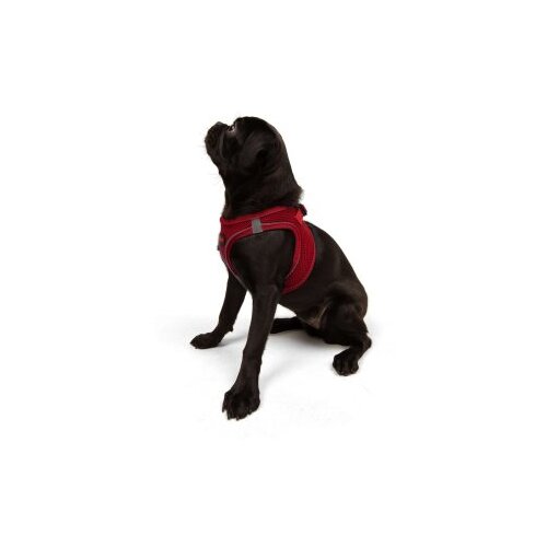 Paws &amp;amp; Whiskers Am za pse Air-Mesh, crvene Slike