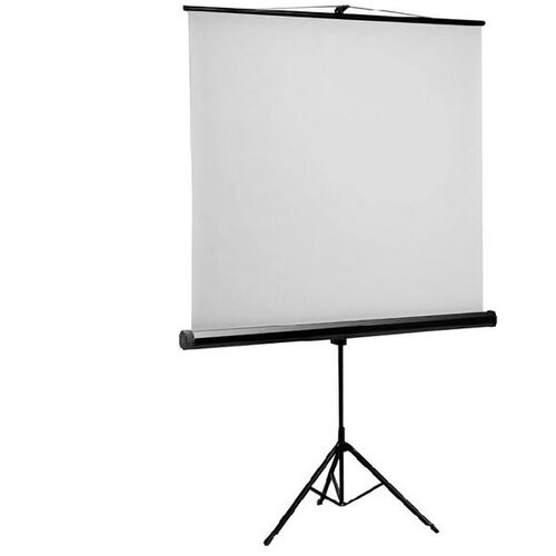  Projekcijsko platno E-View TS200, 203&times;203cm, na stalku Cijene
