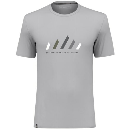 Salewa pure stripes dry t-shirt m, muška majica za planinarenje, siva 28639 Slike