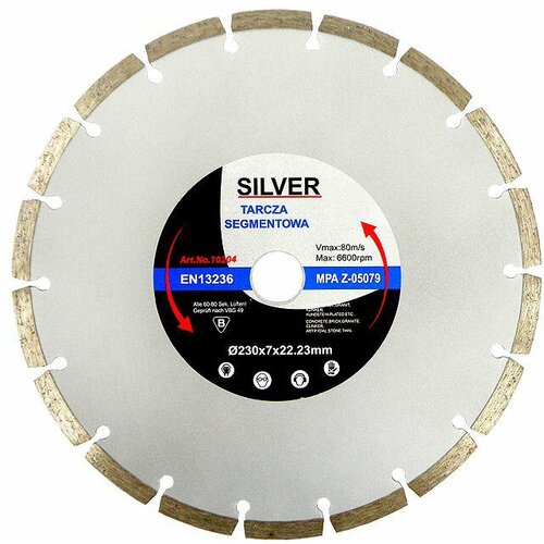 Silver Srebrni diamantni disk 350 x 10 x 25,4/22,2 mm, (21108586) Cene