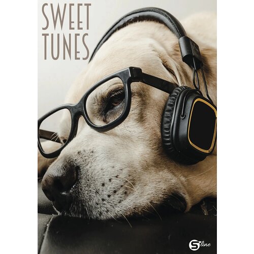 S-Line Zvezek A4 mali karo Cene