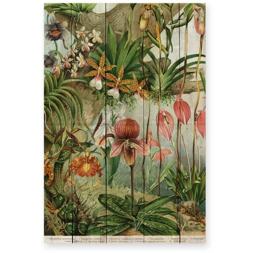 Madre Selva zidni ukras od borovog drveta Jungle Flowers, 60 x 40 cm