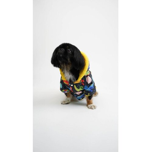 Paws &amp; Whiskers Cosmic Raincoat - Višebojni Pasji Dukserica Cene