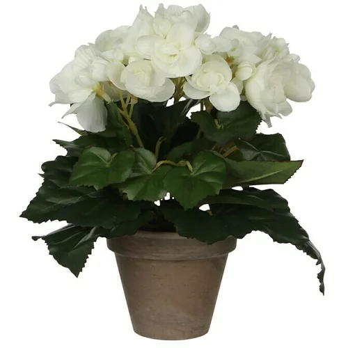 Umjetna biljka Begonija (Visina: 25 cm, Blanca, Plastika)