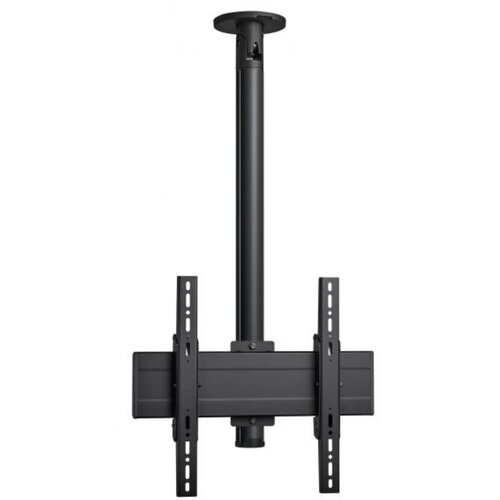 Vogels CT240844 + Cene