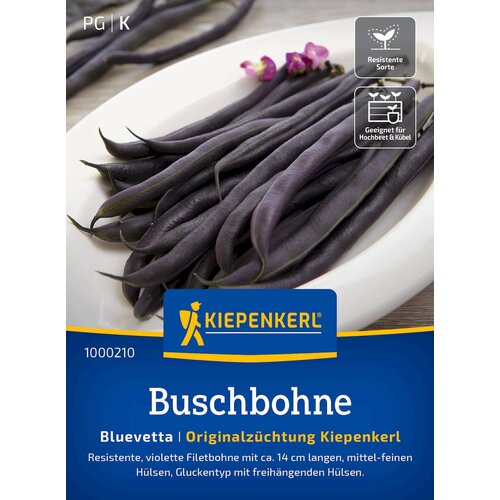 KIEPENKERL Grmičast fižol &amp;quot;Bluevetta&amp;quot; - 1 pkt. Slike