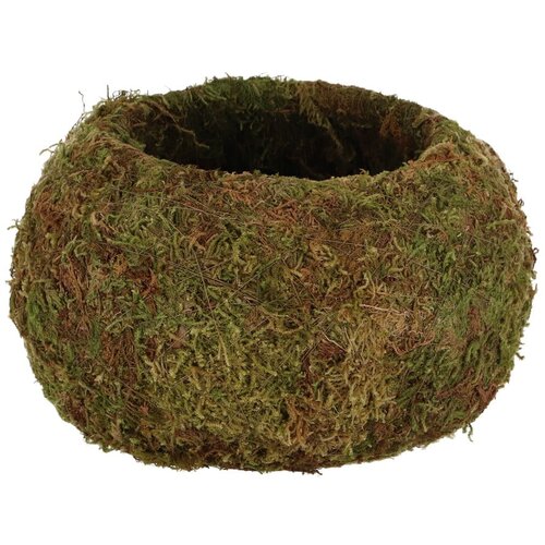 Esschert Design Kokedama krogla - L Slike