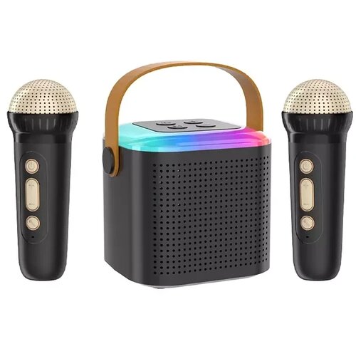 BAVIN mini karaoke zvučnik sa 2 mikrofona crna Cene