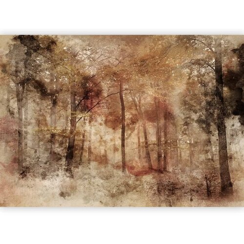  Foto tapeta - Lost in the woods 150x105 Cijene