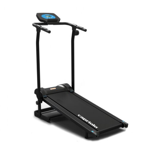 Capriolo TREN-TRAKA 1004-5A MAGNETNA 291117 Cene