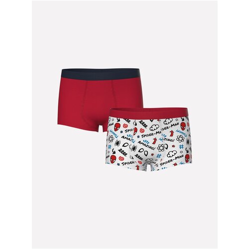 LC Waikiki printed Boy's Boxer Set of 2 Slike