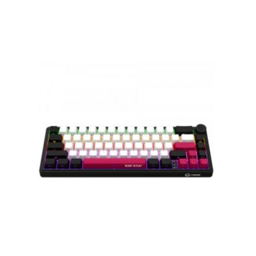 Lorgar Wireless mechanical gaming keyboard Pro, 2.4 GHz, Backlight, Toxic Purple switches, black red white ( LRG-KBP70MW-BK-US ) Cene