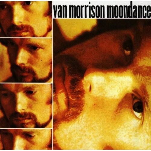 POSNETI MEDIJI MORRISON V.- LP/MOONDANCE, (583148) Cene