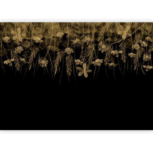  Foto tapeta - Nature landscape - black abstract nature motif with flowers in sepia 343x256 Slike