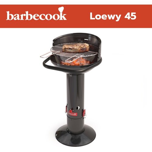 Barbecook Loewy 45 žar na leseno oglje Slike