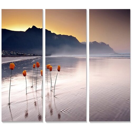 Wallity Slike u setu od 3 kom 20x50 cm - Slike