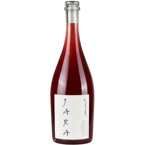 Vinarija Ivanović Ivanović Jara Pet Nat Slike