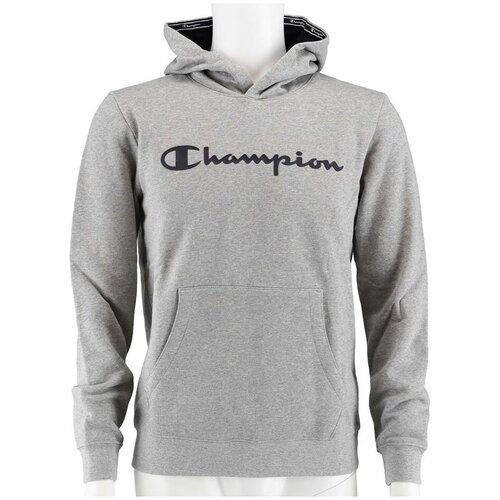 Champion Big Logo Siva Cene