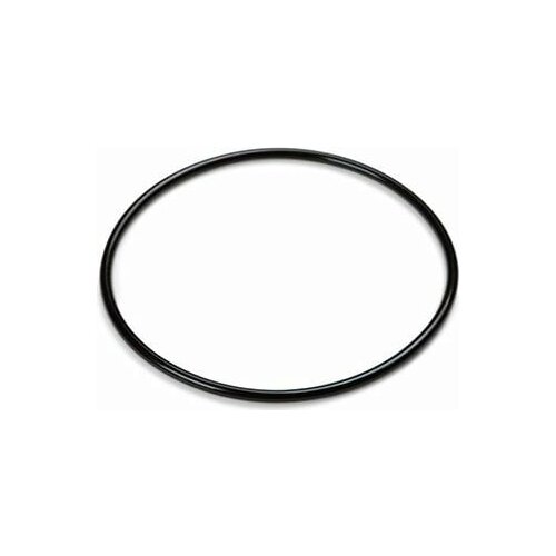 Intex Rezervni deli za Krystal Clear sistem za slano vodo 56.800l - (12) O-obroč Cene