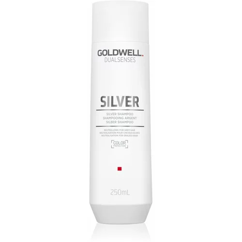 Goldwell Dualsenses Silver neutralizirajući srebrni šampon za plavu i sijedu kosu 250 ml