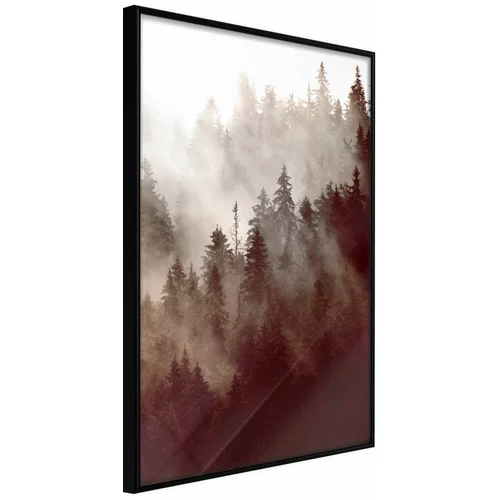  Poster - Forest Fog 20x30