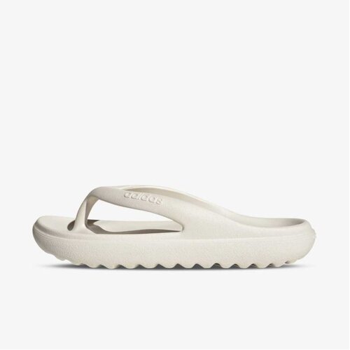 Adidas Adilette lumia flip flop Cene