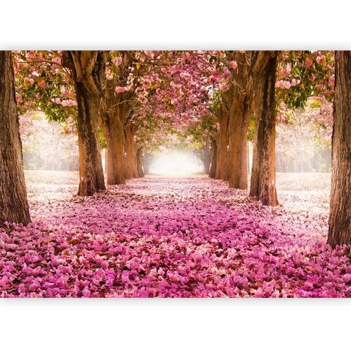  Foto tapeta - Pink grove 343x256 Samoljepljiva Cene