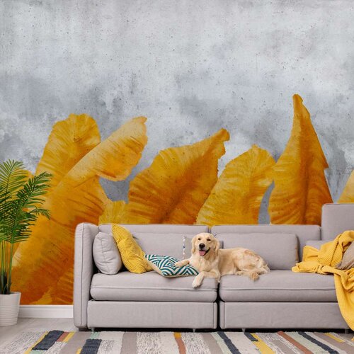  Tapeta - Banana Leaves 150x105 Slike