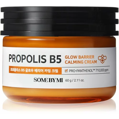 SOMEBYMI Propolis B5 Glow Barrier umirujuća i hidratantna krema za obnavljanje kožne barijere 60 g