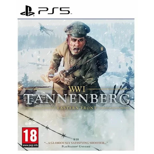 Mindscape Ww1 Tannenberg: Eastern Front (ps5)