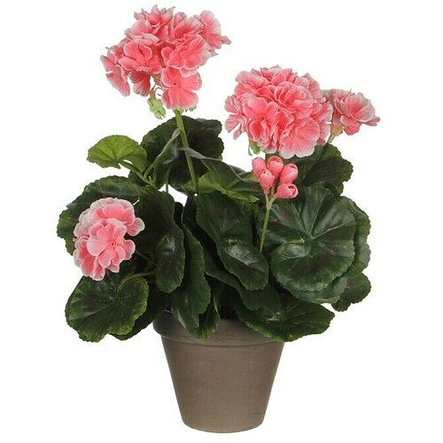  Umjetni cvijet Pelargonija (Visina: 33 cm, Boja cvijeta: Svijetlo roza) Slike