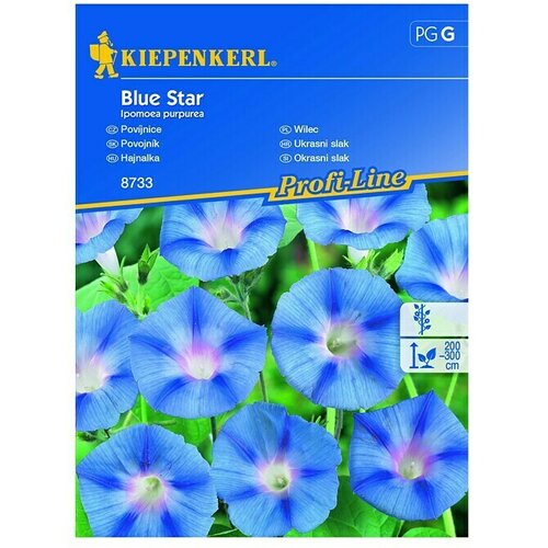 KIEPENKERL Sjeme cvijeća Ukrasni slak Blue Star (Ipomoea purpurea, Plava) Cijene