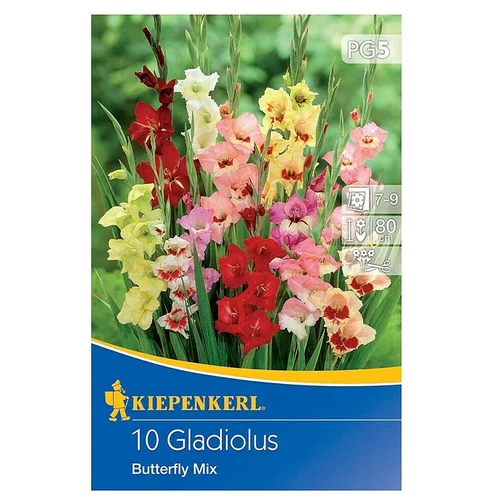 KIEPENKERL Lukovice ljetnog cvijeća Gladiola Butterfly Mix (Gladiolus x Hybrida, 10 Kom., Raznobojno)