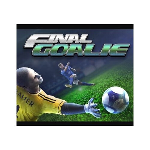  final goalie: football simulator (pc) steam key global Cene