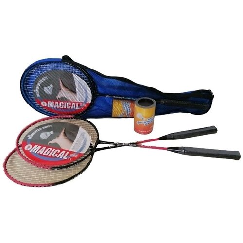 Badminton set sa dve loptice u futroli Cene
